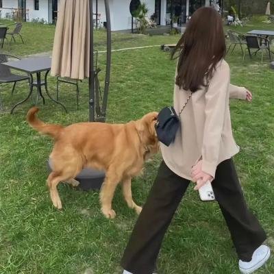 扭曲效应