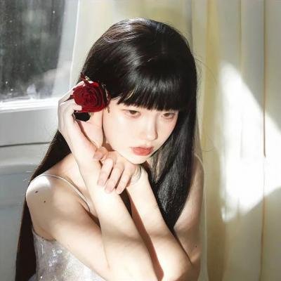 汽车女窃贼